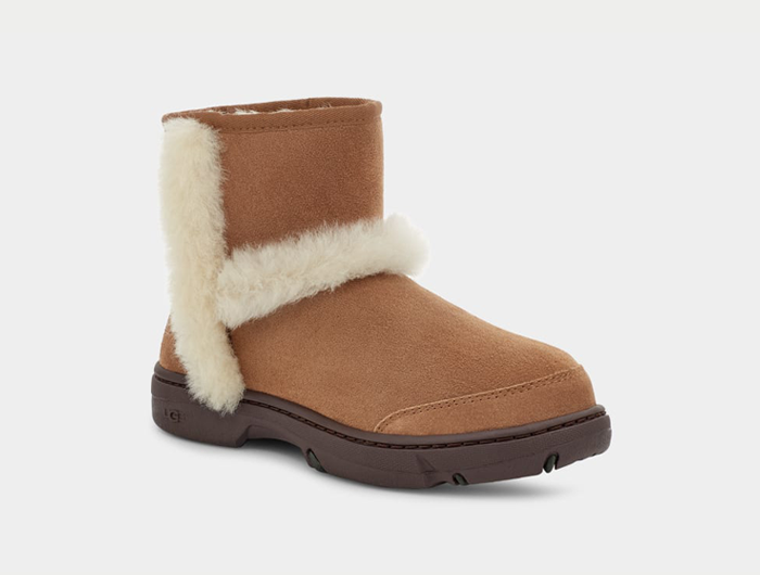 Chestnut ugg boots sale sales