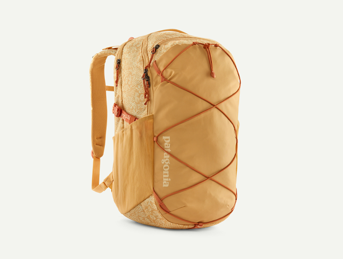 Patagonia Refugio Daypack 30L