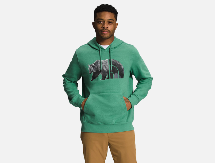 North face bear sweatshirt on sale