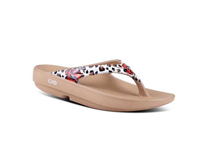 OOFOS Women's OOlala Limited Sandal - Leopard