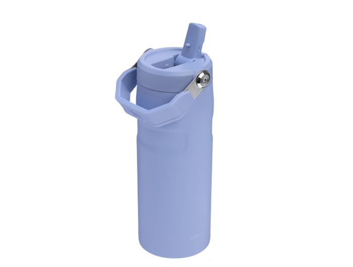 Stanley The IceFlow™ Bottle with Flip Straw Lid - 24 oz