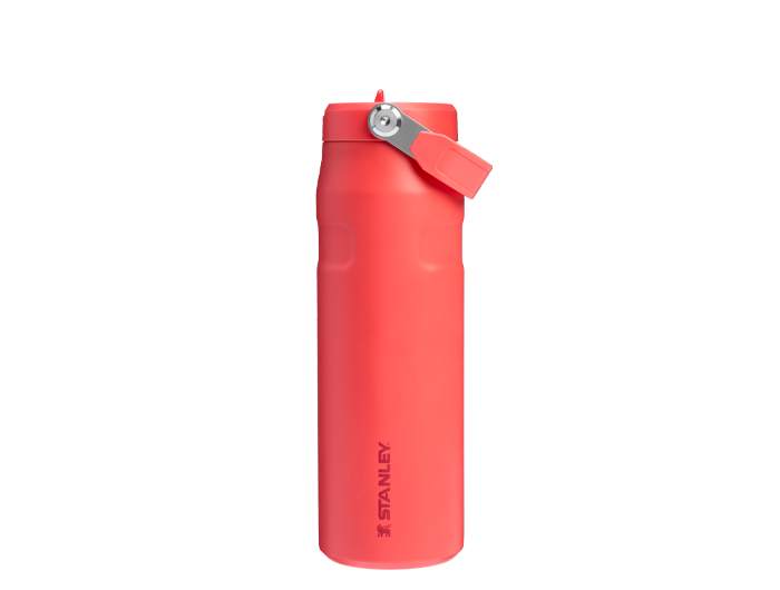 Stanley The IceFlow™ Bottle with Flip Straw Lid - 24 oz