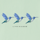 Life Is Good Women's Crusher Lite Vee - Three Hummingbirds