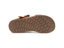 Chaco Men's Lowdown Sandal