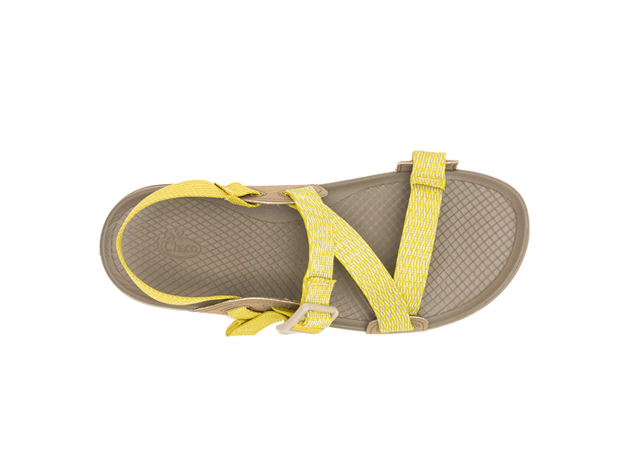 Chaco Women's Lowdown Sandal