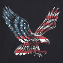 Life is Good Men's Crusher Lite Tee - Eagle Flag