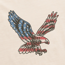 Life is Good Men's Crusher Tee - Eagle Flag