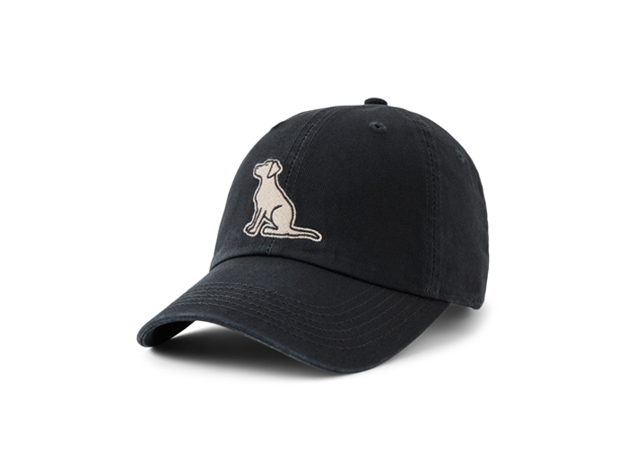 Life is Good Chill Cap - Vintage Sitting Dog