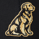 Life is Good Trucker Hat - Golden