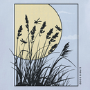 Life is Good Women's Crusher Tee - Sunny Reeds Window