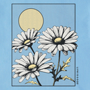 Life is Good Women's Crusher Tee - Daisies Sun Window