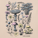 Life is Good Women's Crusher Tee - Collection of Mushrooms