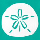 Life is Good Women's Crusher Vee - Sand Dollar