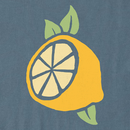 Life is Good Women's Crusher Lite Shrunken Tee - Half a Lemon Mini