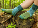 Darn Tough Women's Treeline Micro Crew Cushion