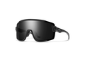 Smith Wildcat Polarized Sunglasses