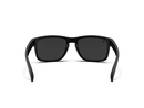 Blenders Canyon Polarized Sunglasses