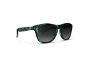 Blenders L Series Polarized Sunglasses