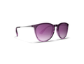 Blenders North Park Polarized Sunglasses