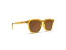 Blenders Sydney Polarized Sunglasses