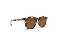 Blenders Sydney Polarized Sunglasses