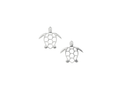 Tomas Island Turtle Post Earring