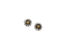 Tomas Aster Daisies Post Earring