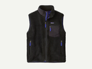Patagonia Men's Classic Retro-X® Fleece Vest