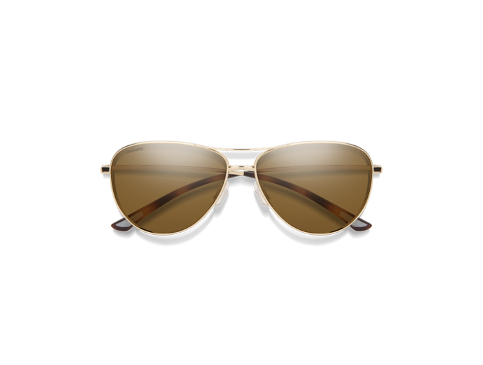Smith Langley Polarized Sunglasses