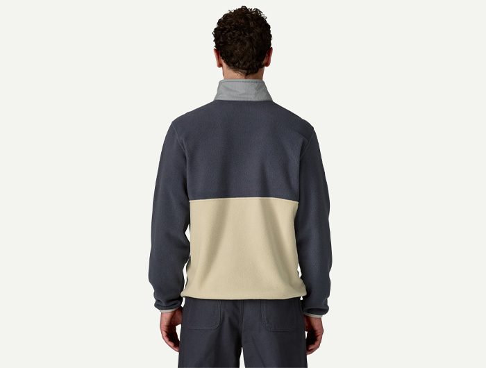 Patagonia Men's Microdini 1/2-Zip Fleece Pullover