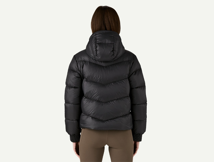 Patagonia Women's Sindit Hoody Jacket