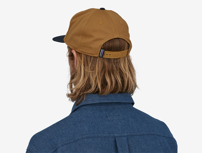 Patagonia Range Cap