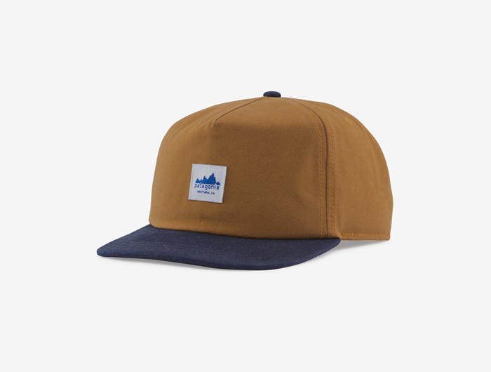 Patagonia Range Cap