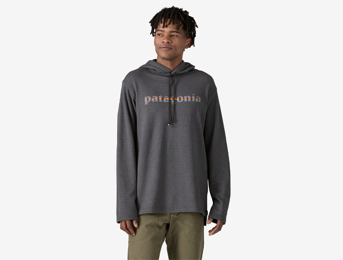 Patagonia Men's Lightweight '73 Text Logo Wildrise Hoody