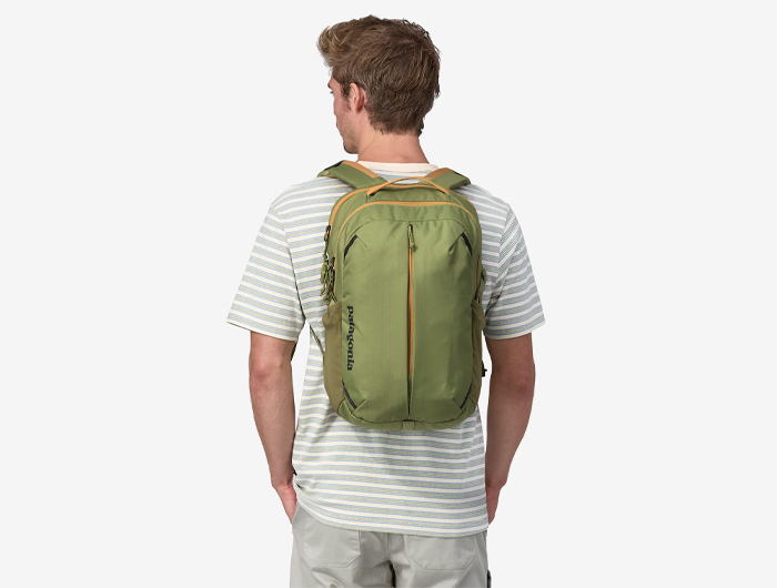 Patagonia Refugio Daypack 26L