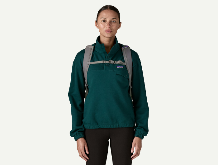 Patagonia Refugio Daypack 26L
