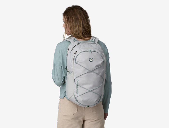 Patagonia Refugio Daypack 30L