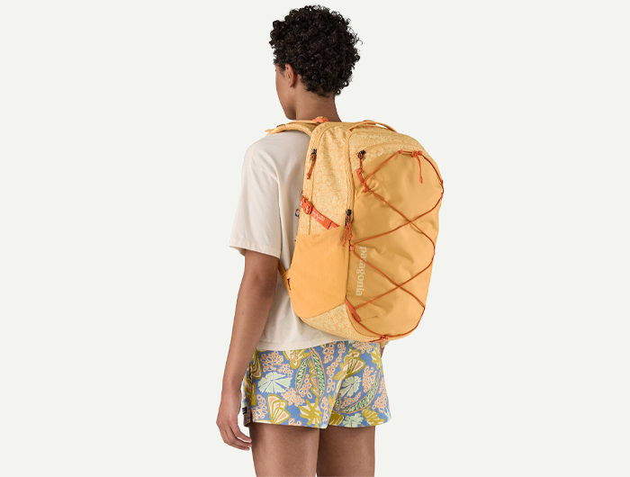 バッグ patagonia 47928 cny REFUGIO DAY PACK 30L Patagonia Refugio Daypack 30L | Versatile & Spacious