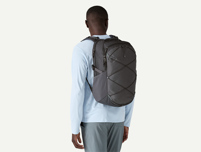 Patagonia Refugio Daypack 30L