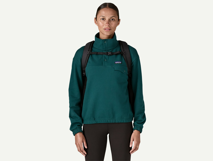 Patagonia Atom Daypack 24L