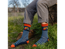 Darn Tough Men's Animal Haus Crew Light