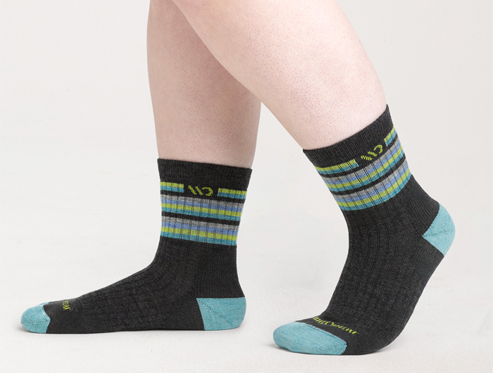 Wide Open by Darn Tough Women's Multi Stripe Cushioned Micro Crew Socks