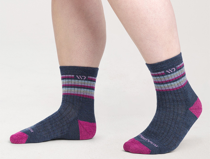 Wide Open by Darn Tough Women's Multi Stripe Cushioned Micro Crew Socks