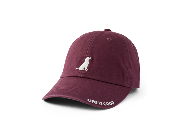 Life is Good Chill Cap - Wag On Lab
