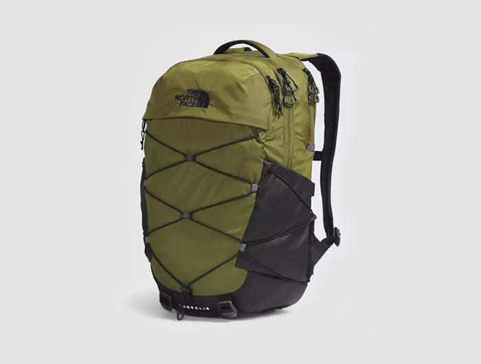 The North Face Borealis Backpack: Duck Green/New Taupe Green