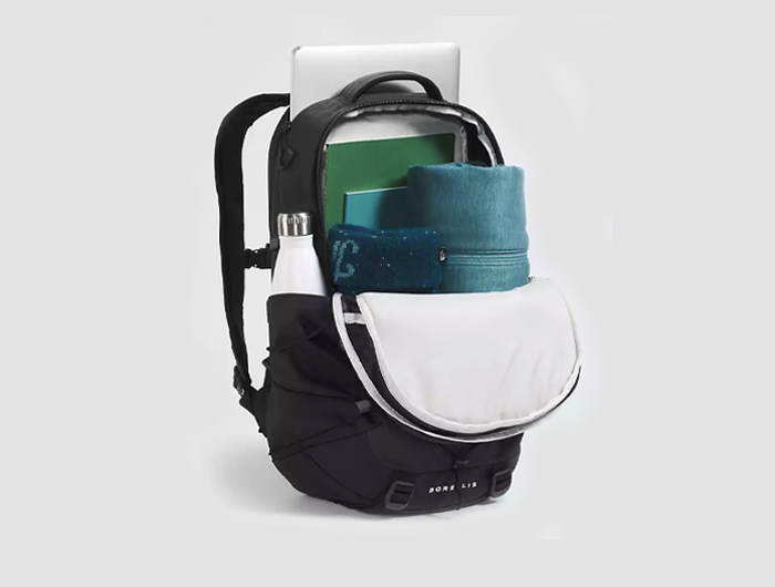 The North Face Borealis Backpack