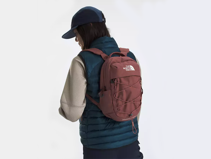 The North Face Borealis Mini Backpack