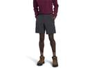 The North Face Men's Paramount Shorts