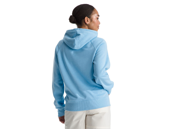 The North Face Women’s Evolution Hoodie