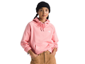 The North Face Women’s Evolution Hoodie